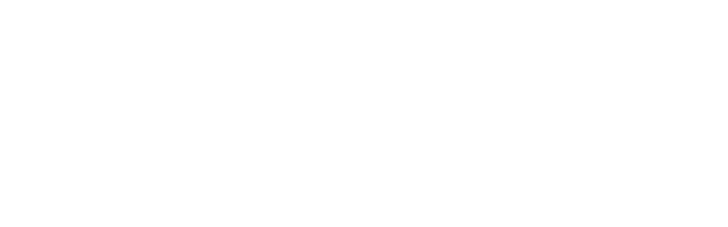 ibjr.org.br